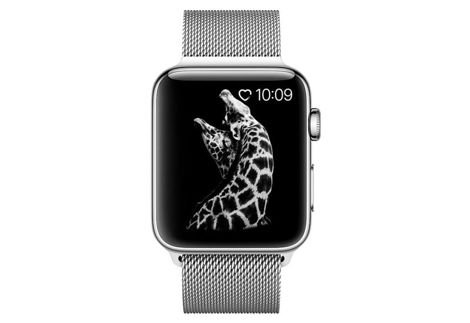 Bransoleta Milanese pasek Alogy do Apple Watch 42/44/45/49mm srebrna